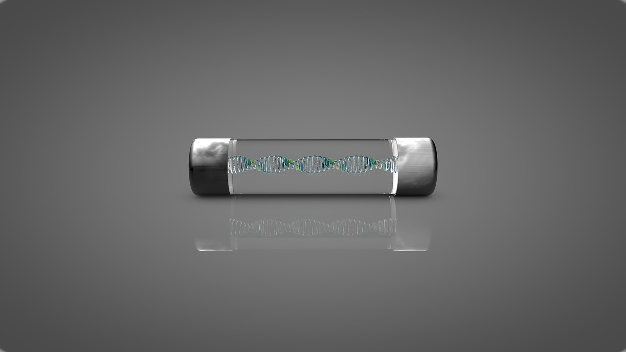 fuse fuse