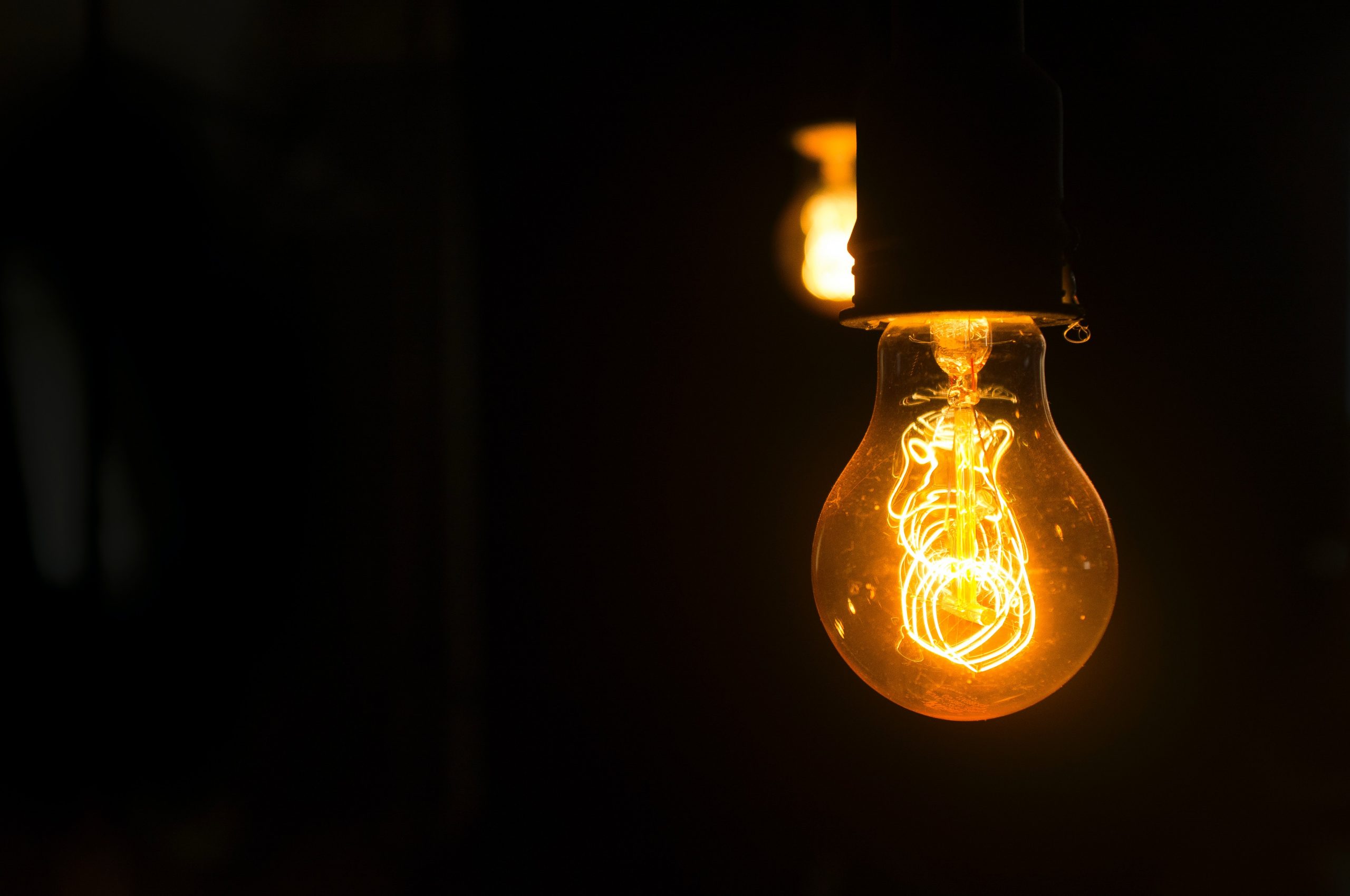 bulb bulb