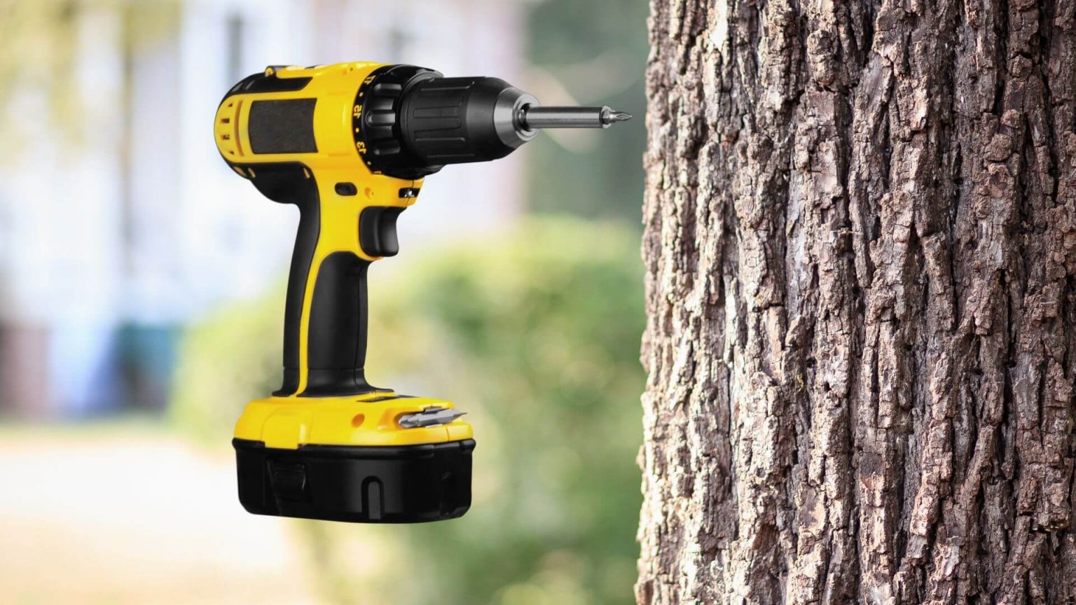 How to Drill into a Tree Without Hurting It? HouseTechLab